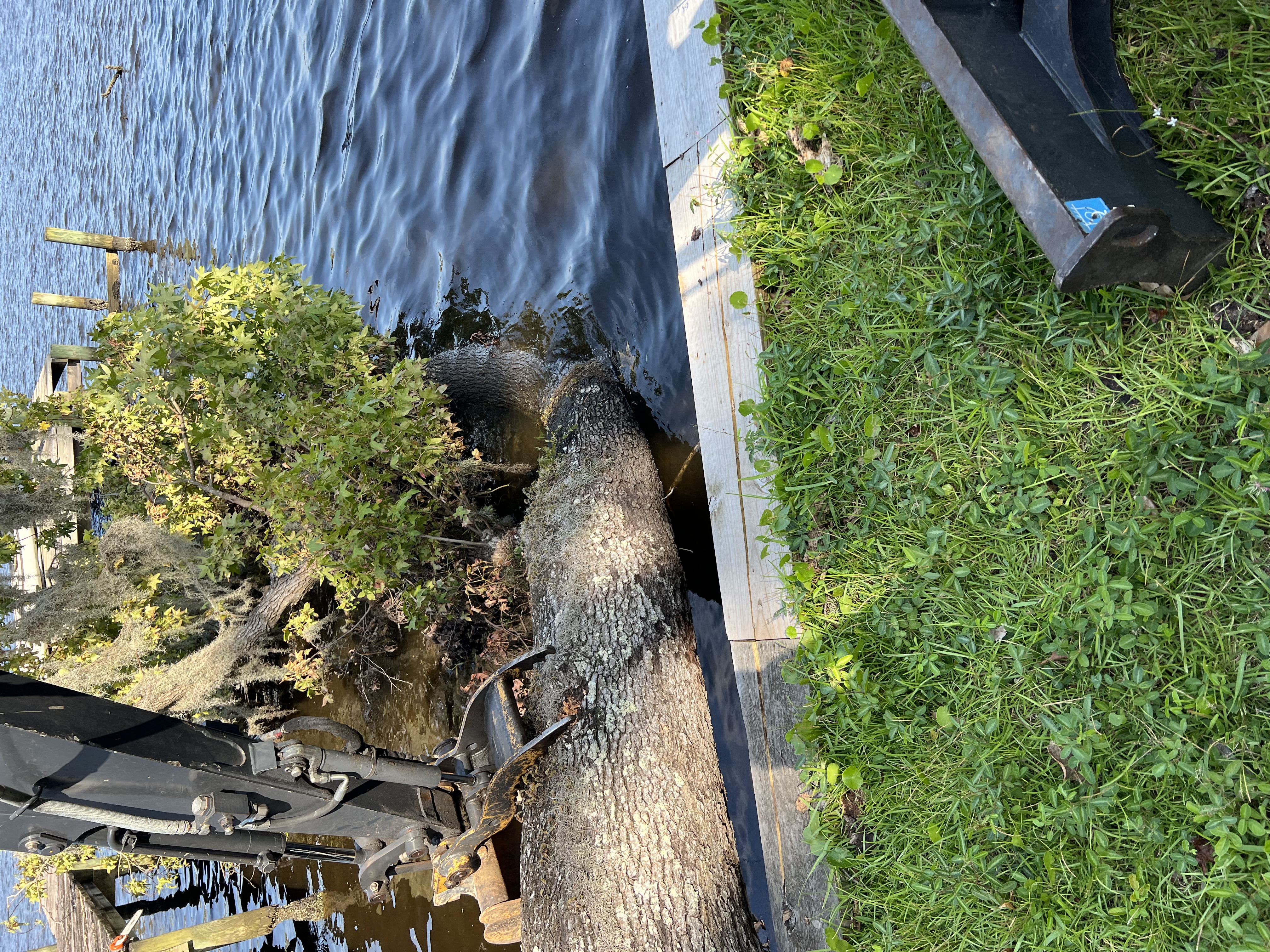 Tree Service Gallery | Jacksonville, FL - SNIP’S TREE SERVICE